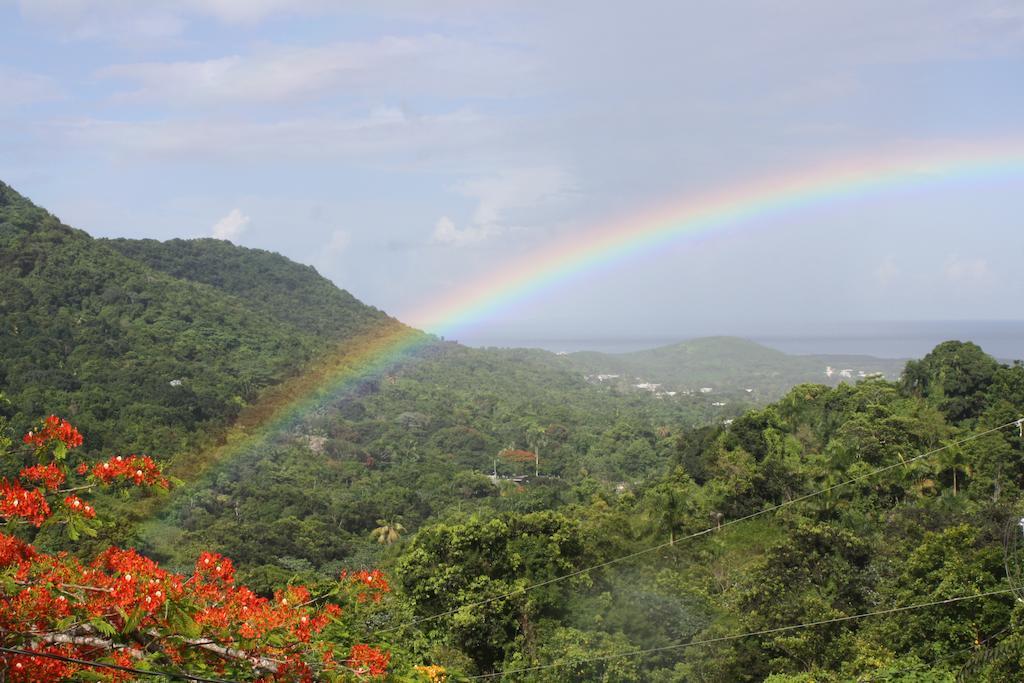 Ceiba Country Inn Fajardo Dış mekan fotoğraf